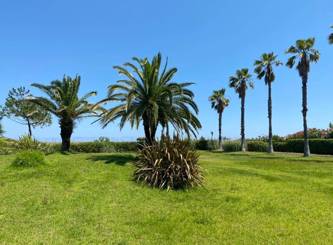 Résidence les chênes Borgo  Extérieur photo