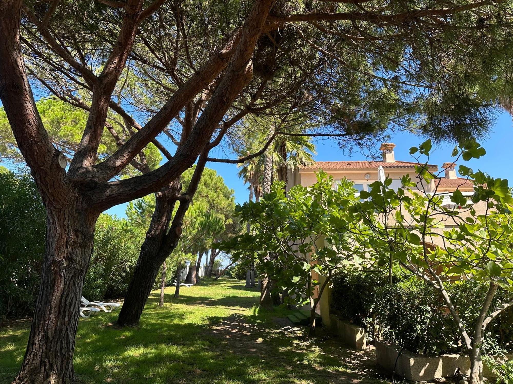 Résidence les chênes Borgo  Extérieur photo